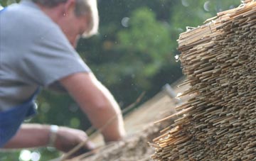 professional Babel thatchers