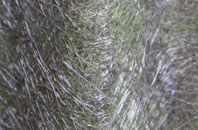 Babel fibreglass roof work